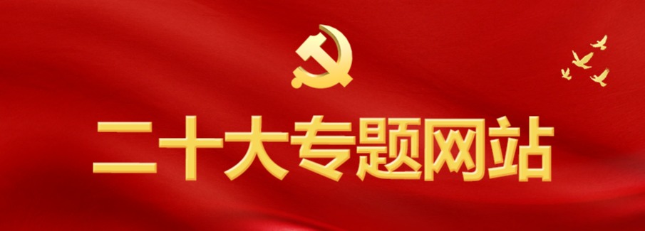 二十大专题网站